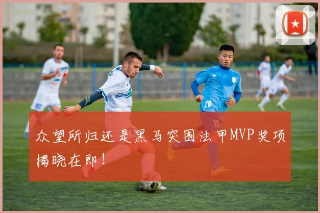 众望所归还是黑马突围法甲MVP奖项揭晓在即！
