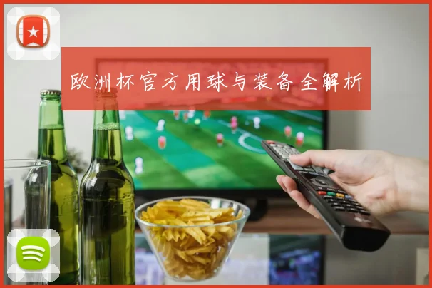 欧洲杯官方用球与装备全解析